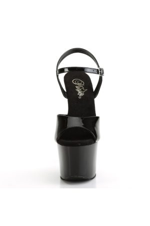 SKY309CHRS/B/B-SRS - SKY-309CHRS